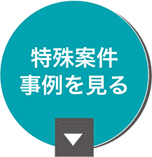 特殊案件事例を見る